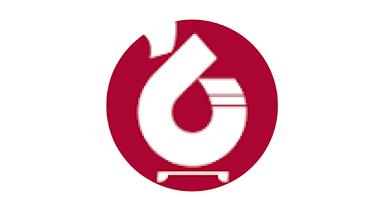 Company Logo 2